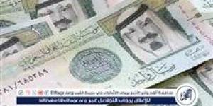 استقرار سعر الريال السعودي مقابل الجنيه المصري في تعاملات اليوم الأربعاء - صوت العرب