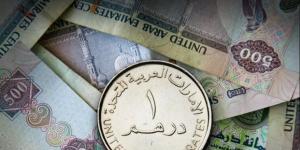 سعر الدرهم الإماراتي في البنك المركزي اليوم.. تحديثات أسعار البيع والشراء - صوت العرب