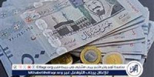 استقرار سعر الريال السعودي اليوم السبت 9 نوفمبر 2024 مقابل الجنيه المصري في البنوك - صوت العرب