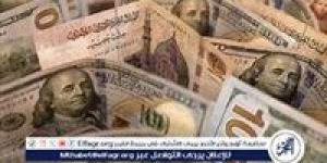 استقرار سعر الدولار أمام الجنيه المصري اليوم السبت 9 نوفمبر 2024.. الأسباب والتوقعات - صوت العرب