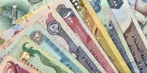 سعر الدرهم الإماراتي في البنوك وشركات الصرافة اليوم الأحد 10 نوفمبر 2024 - صوت العرب