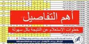 عاجل - موعد إعلان نتائج السادس الإعدادي الدور الثالث 2024 وكيفية الاستعلام عبر موقع وزارة التربية العراقية - صوت العرب