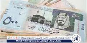 استقرار سعر الريال السعودي مقابل الجنيه المصري اليوم الثلاثاء 12 نوفمبر 2024 - صوت العرب