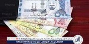 سعر الريال السعودي اليوم السبت 16 نوفمبر 2024 مقابل الجنيه المصري - صوت العرب