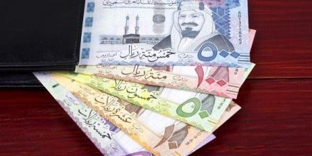 سعر الريال السعودى اليوم الخميس 14 نوفمبر 2024 فى مصر مقابل الجنيه المصرى - صوت العرب