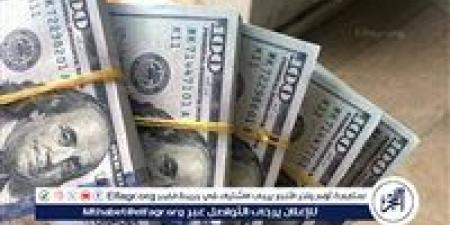 استقرار سعر الدولار أمام الجنيه المصري اليوم 15 نوفمبر 2024 - صوت العرب