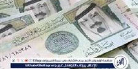 استقرار سعر الريال السعودي أمام الجنيه المصري اليوم السبت 16 نوفمبر 2024 - صوت العرب