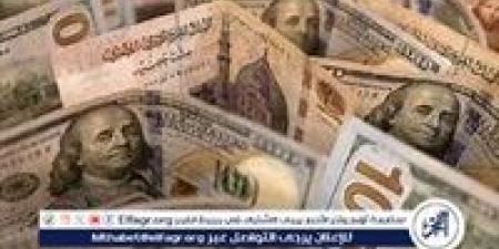 استقرار سعر الدولار مقابل الجنيه المصري اليوم السبت 16 نوفمبر 2024 - صوت العرب