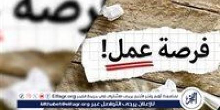 وظائف شاغرة في شركة اتصالات مصر في مجال المبيعات – نوفمبر 2024 - صوت العرب