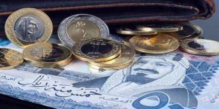 سعر الريال السعودى اليوم الأربعاء 20 نوفمبر 2024 فى مصر مقابل الجنيه المصرى - صوت العرب