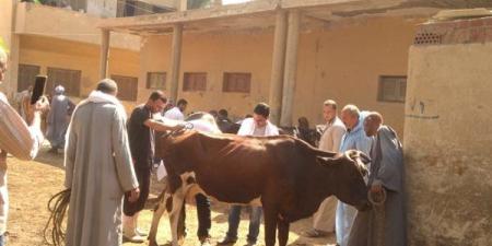 بالأرقام.. "الزراعة" تكشف نتائج عمل القوافل البيطرية المجانية بـ4 محافظات - صوت العرب