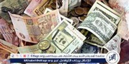 ارتفاع ملحوظ في أسعار العملات مقابل الجنيه المصري اليوم - صوت العرب