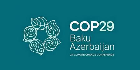 ‏«COP29» يحقق التنفيذ الكامل للمادة الـ6 من اتفاق باريس - صوت العرب