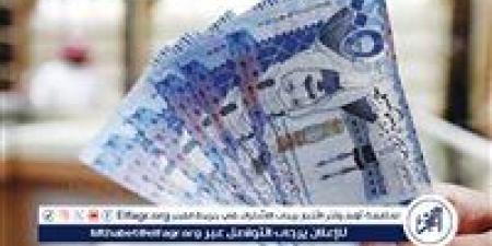 استقرار سعر الريال السعودي أمام الجنيه المصري اليوم السبت - صوت العرب