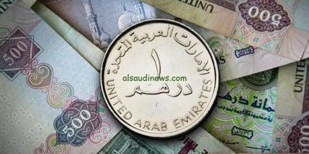 سعر الدرهم الإماراتي مقابل الجنيه المصري اليوم الاثنين 25 نوفمبر 2024 - صوت العرب