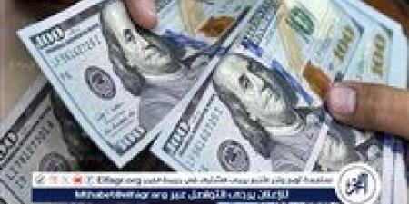 استقرار سعر الدولار مقابل الجنيه المصري اليوم 12 ديسمبر 2024 - صوت العرب