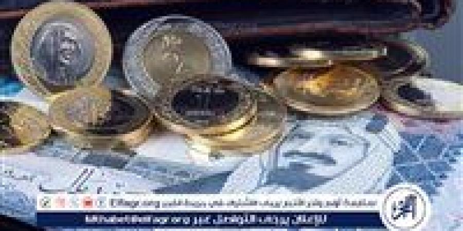 استقرار سعر الريال السعودي أمام الجنيه المصري في تعاملات اليوم: 5 نوفمبر 2024 - صوت العرب