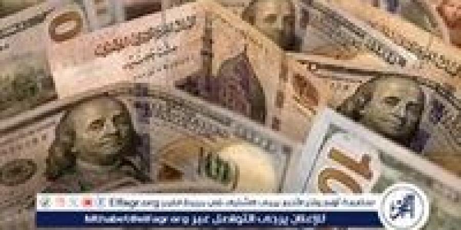 سعر الدولار مقابل الجنيه المصري اليوم الثلاثاء 5 نوفمبر 2024: استقرار ملحوظ مع استمرار الضغوط الاقتصادية - صوت العرب