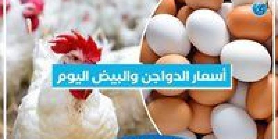 أسعار الدواجن والبيض اليوم الأربعاء 6-11-2024 بمحافظة البحيرة - صوت العرب