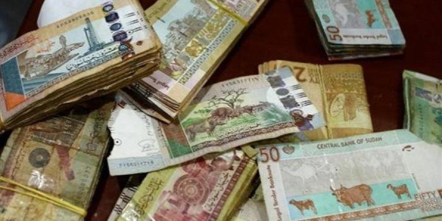 سعر الجنيه السوداني مقابل الجنيه المصري اليوم الأربعاء 6/11/2024 - صوت العرب