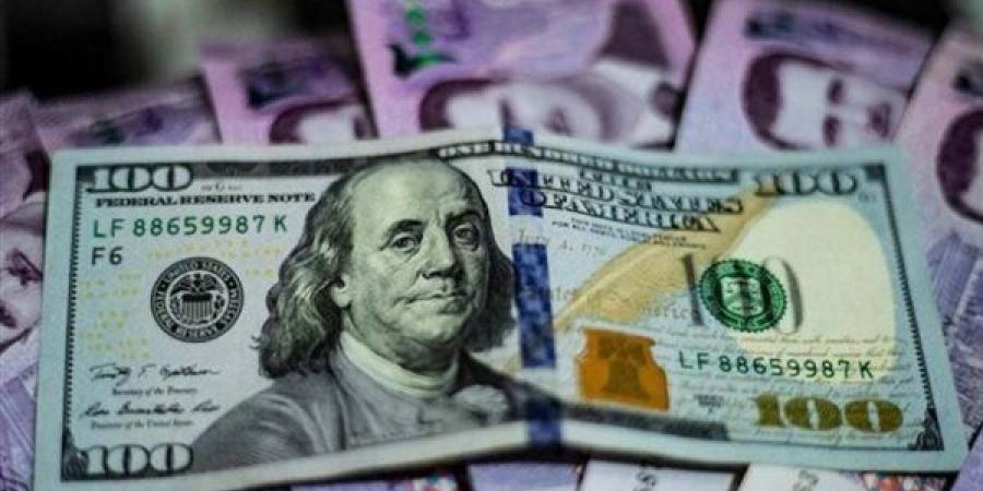 سعر الدولار اليوم مقابل الليرة السورية اليوم الجمعة 8 نوفمبر 2024 - صوت العرب