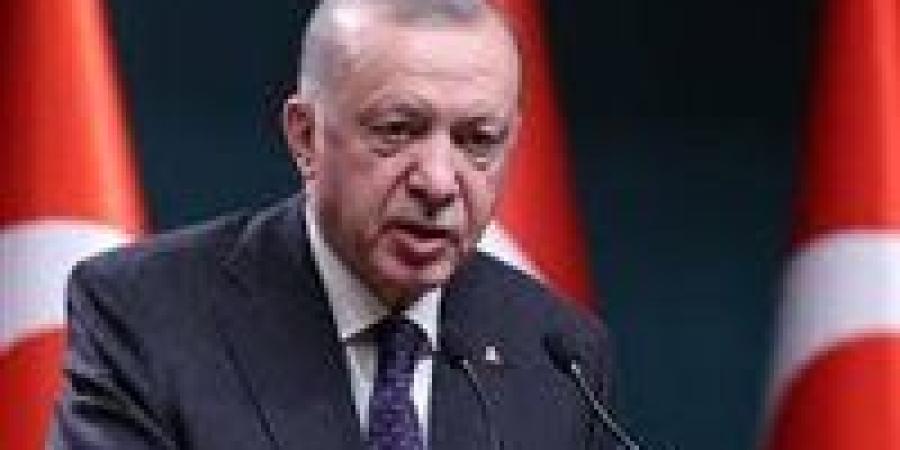 أردوغان: إسرائيل تهدف لإلغاء حل الدولتين وتدمير الوجود الفلسطيني - صوت العرب