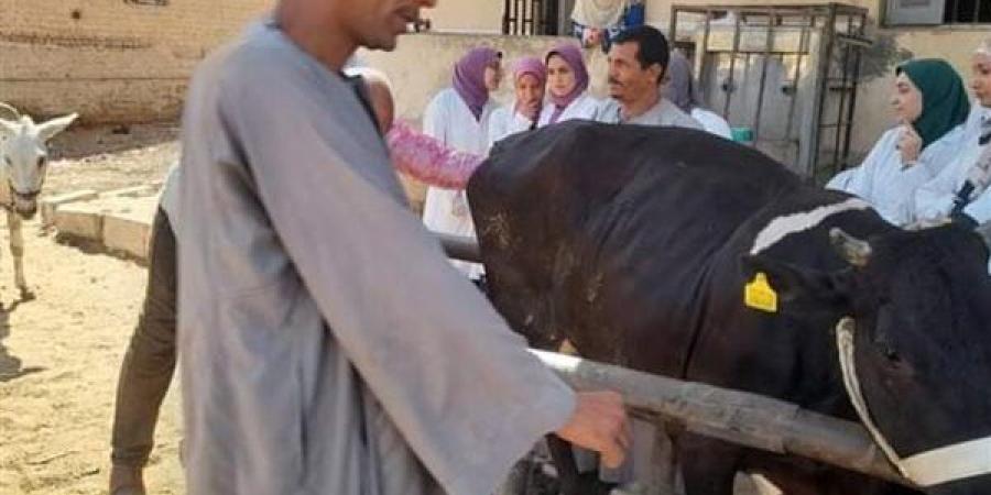 تعرف على أنشطة وجهود مديريات الزراعة والطب البيطري خلال أسبوع - صوت العرب