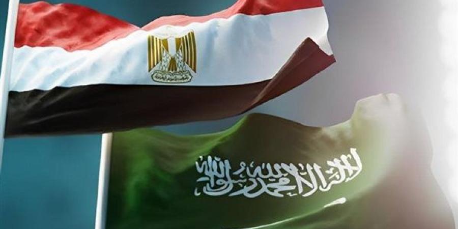 إشادات من المستثمرين بإنشاء الصندوق العقارى المصرى السعودى: جذب المزيد من الاستثمارات الأجنبية - صوت العرب