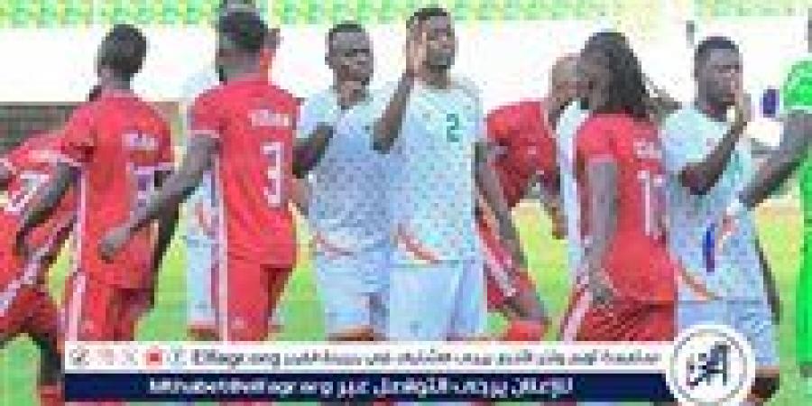 منتخب النيجر يقسو على السودان برباعية في تصفيات كأس الأمم الأفريقية - صوت العرب