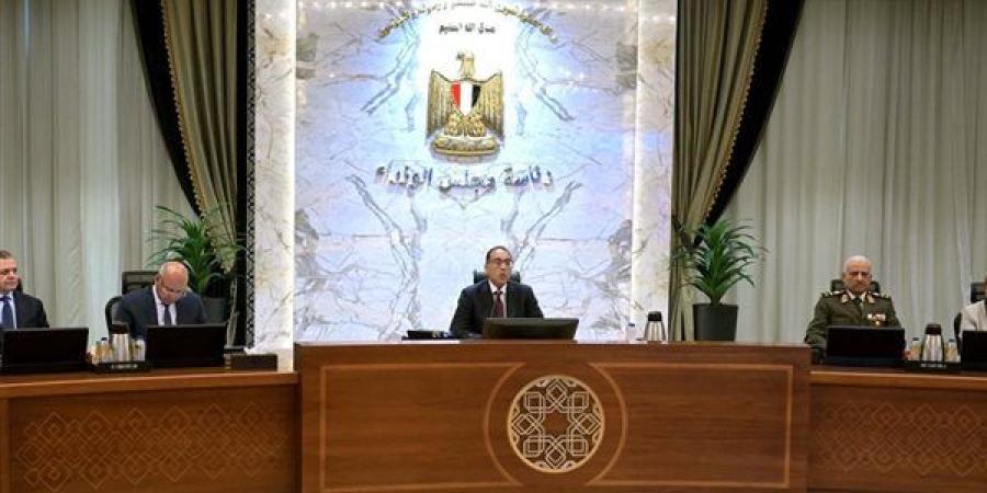 رئيس الوزراء: مصر ترفض جميع المخططات التي تستهدف تصفية القضية الفلسطينية - صوت العرب