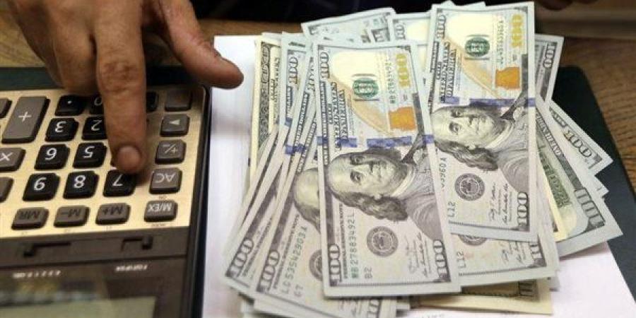 سعر الدولار مقابل الجنيه المصري في البنوك - صوت العرب