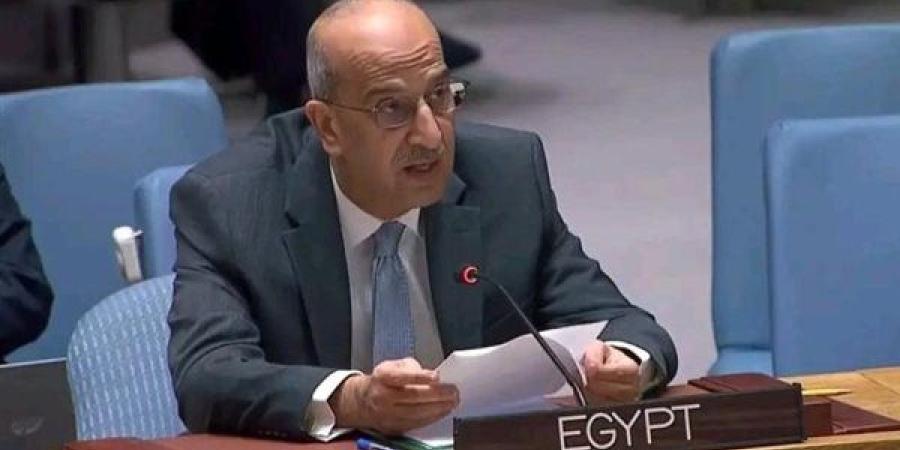 فى جلسة مجلس الأمن.. مصر تدعو الطرفين الفلسطينى والإسرائيلى للعودة إلى المفاوضات - صوت العرب