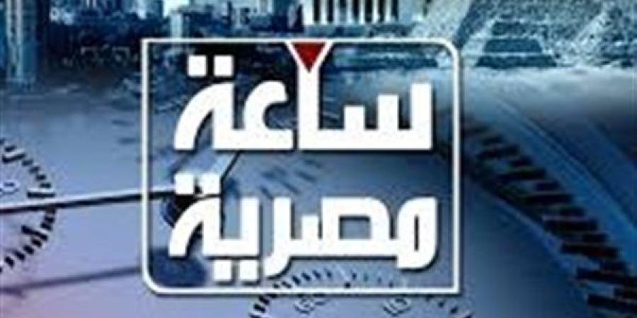 "ساعة مصرية".. برنامج جديد على قناة النيل للأخبار قريبًا - صوت العرب