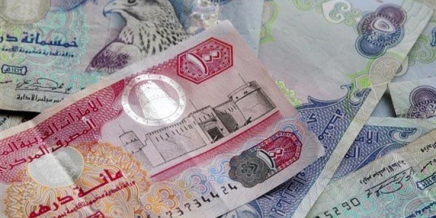 سعر الدرهم الإماراتي مقابل الجنيه المصري اليوم الجمعة 22 نوفمبر 2024 - صوت العرب