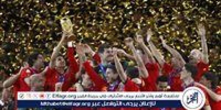 بطل مونديال 2010 يحدد موعد اعتزاله - صوت العرب