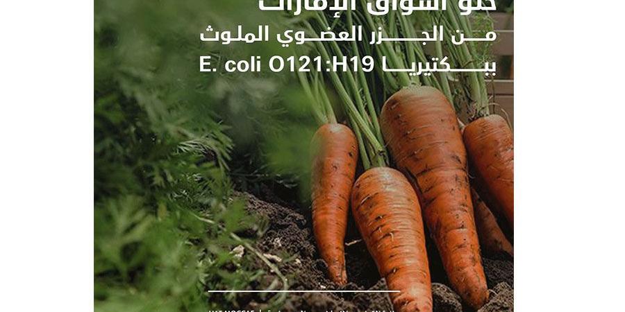 خلو أسواق الإمارات من الجزر العضوي الملوث بالبكتيريا - صوت العرب