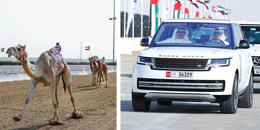 «الفايضة» تحلق بكأس ثنايا الأبكار في جائزة زايد للهجن - صوت العرب