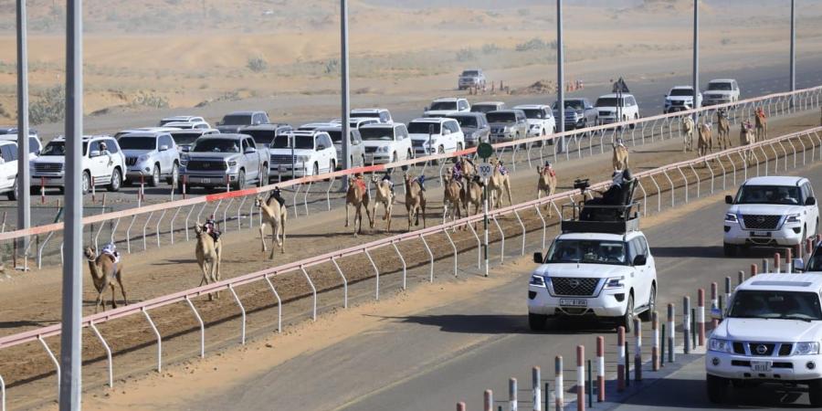 «الشارقة للهجن» ينظم سباق الفطامين في عيد الاتحاد - صوت العرب