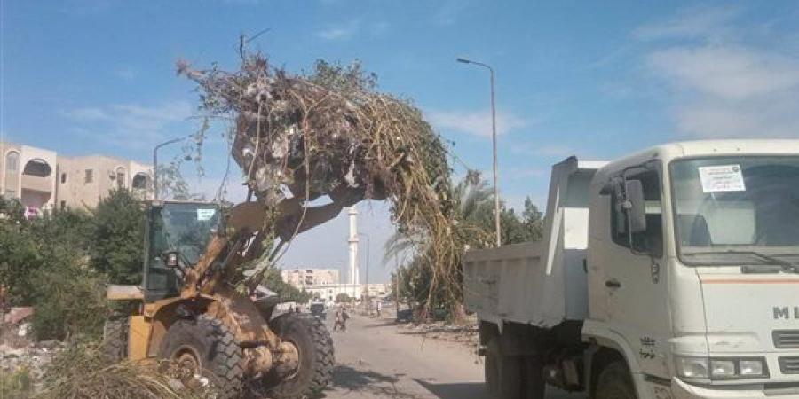 الوحدات المحلية بالإسماعيلية ترفع 7200 طن مخلفات خلال أسبوع - صوت العرب