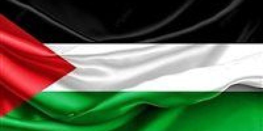 مصر تحيي اليوم الدولي للتضامن مع الشعب الفلسطيني - صوت العرب