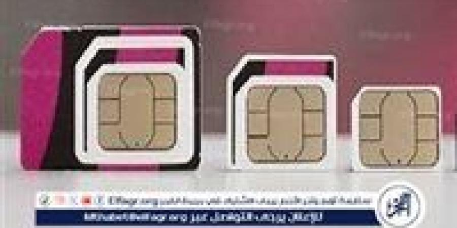 "شريحة eSIM في مصر".. موعد الإطلاق وطريقة التفعيل والأجهزة الداعمة لها - صوت العرب