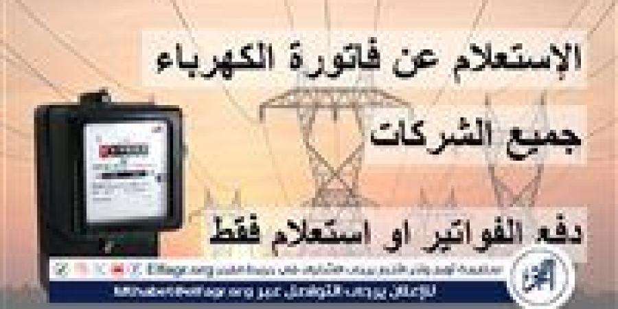 خطوات قراءة العداد ودفع فاتورة الكهرباء 2024 - صوت العرب