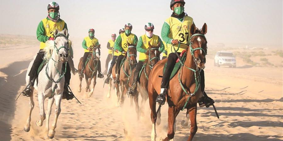 كأس رئيس الدولة للقدرة تنطلق اليوم - صوت العرب