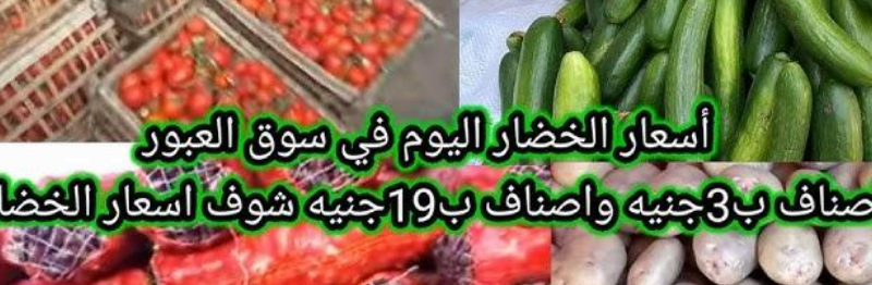 أسعار الخضروات في سوق العبور اليوم السبت 31 أغسطس 2024.. الملوخية ب 5 جنيه و الطماطم ب 9 جنيه