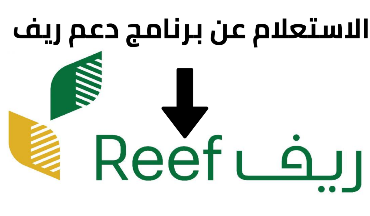 اهم الشروط … كيفية الاستعلام عن دعم الريف لشهر يناير 2025