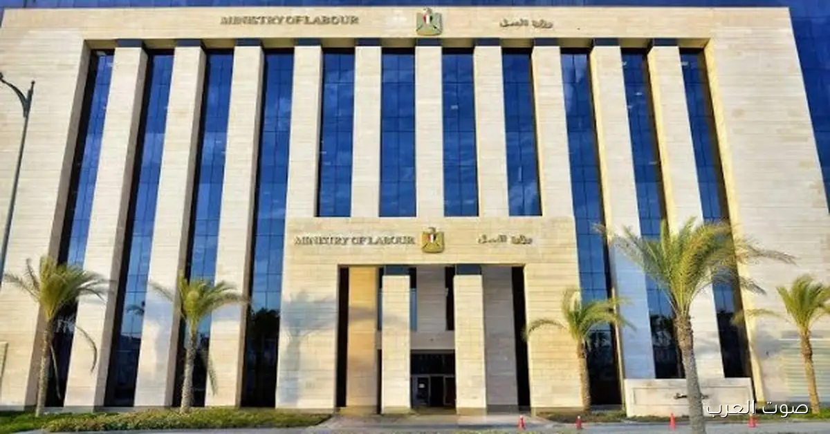 1450 وظيفة برواتب تبدأ من 10 آلاف جنيه في مشروع الضبعة