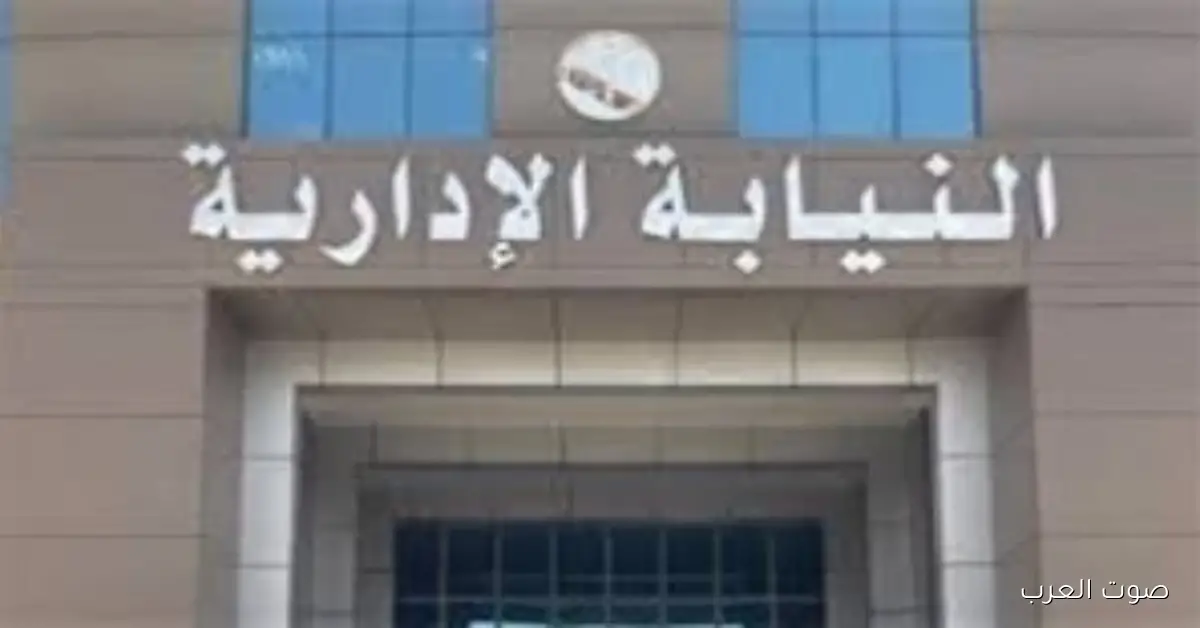 النيابة الإدارية تبدأ تدريب لأعضائها على الإشراف القضائي في انتخابات مجلس النواب