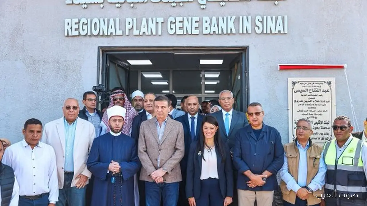 وزيرة التخطيط: القيادة السياسية بتوجهنا لتنمية شاملة في شبه جزيرة سيناء