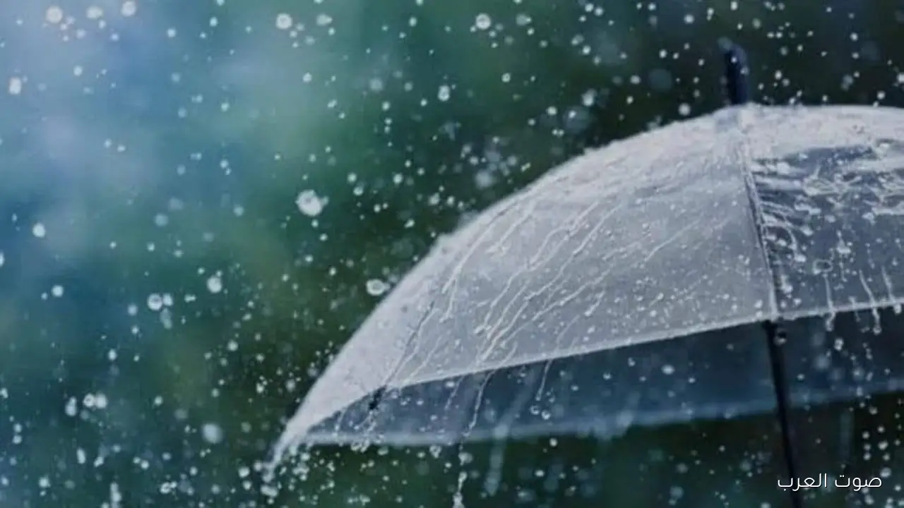 الأرصاد بتحذر: الحرارة هتنخفض بشكل كبير بكرة.. وممكن تكون فيه سيول وشبورة كثيفة على الطرق