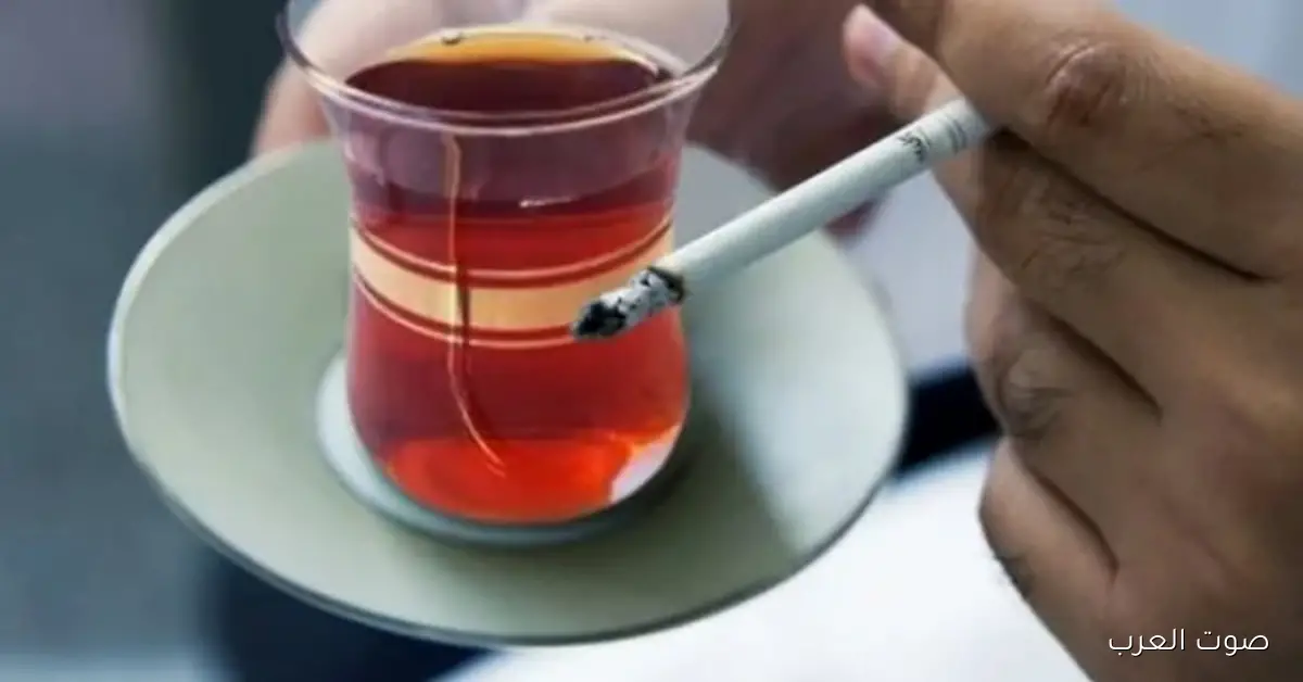 أسعار السجائر النهاردة الأحد 16 نوفمبر 2025.. قائمة كاملة بالسجائر والتبغ المسخن